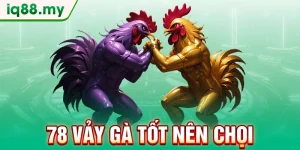 78-vay-ga-tot-nen-choi