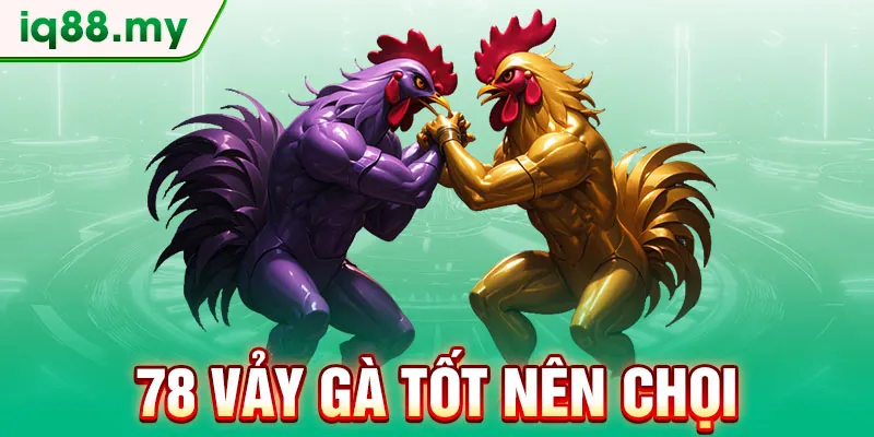 78-vay-ga-tot-nen-choi