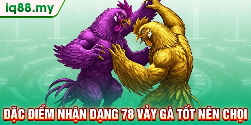 dac-diem-nhan-dang-78-vay-ga-tot-nen-choi