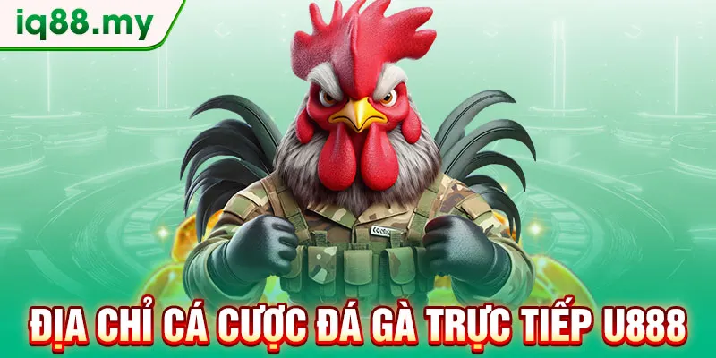dia-chi-ca-cuoc-da-ga-truc-tiep-u888