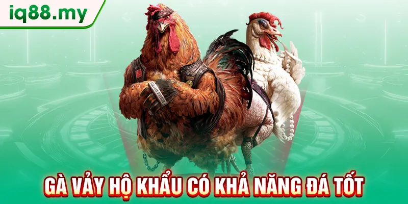 ga-vay-ho-khau-co-kha-nang-da-tot