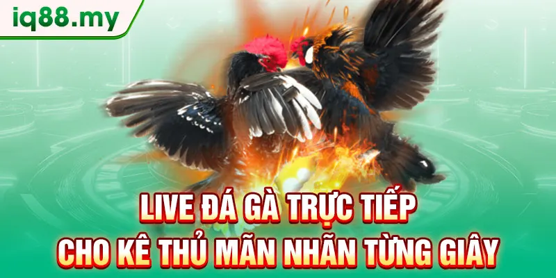 live-da-ga-truc-tiep-cho-ke-thu-man-nhan-tung-giay