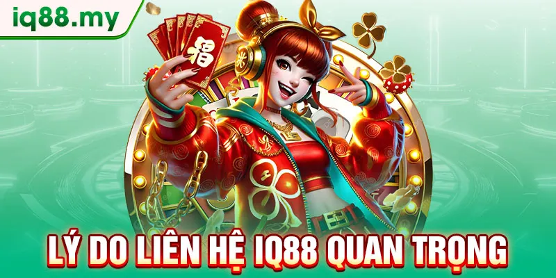 ly-do-lien-he-iq88-quan-trong