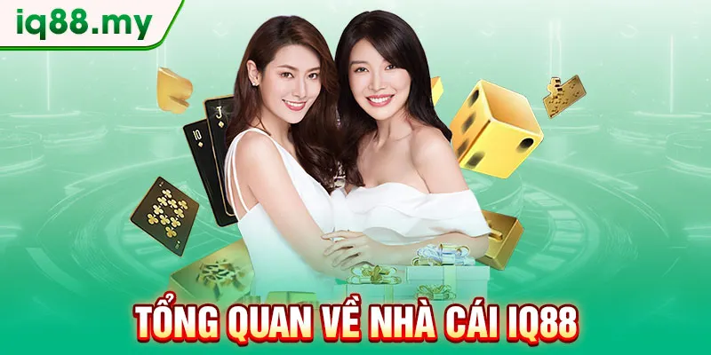 tong-quan-ve-nha-cai-iq88
