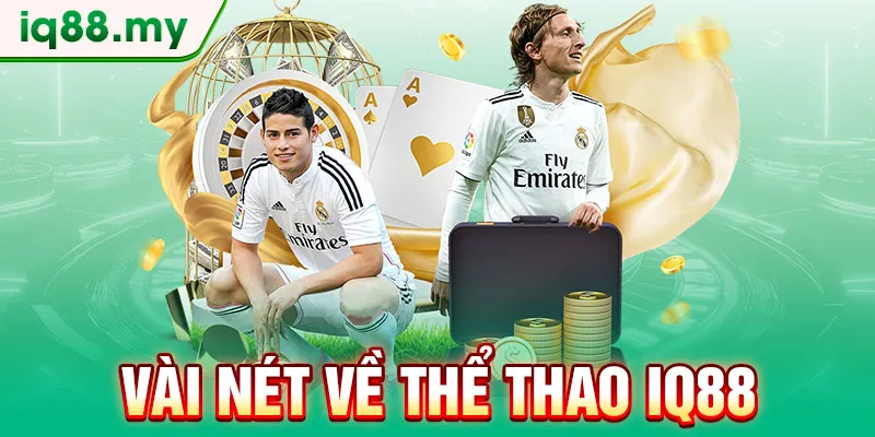 vai-net-ve-the-thao-iq88