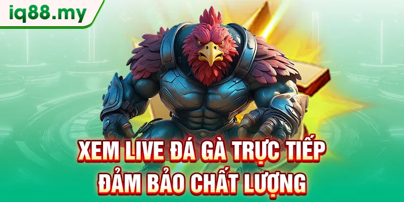 xem-live-da-ga-truc-tiep-dam-bao-chat-luong